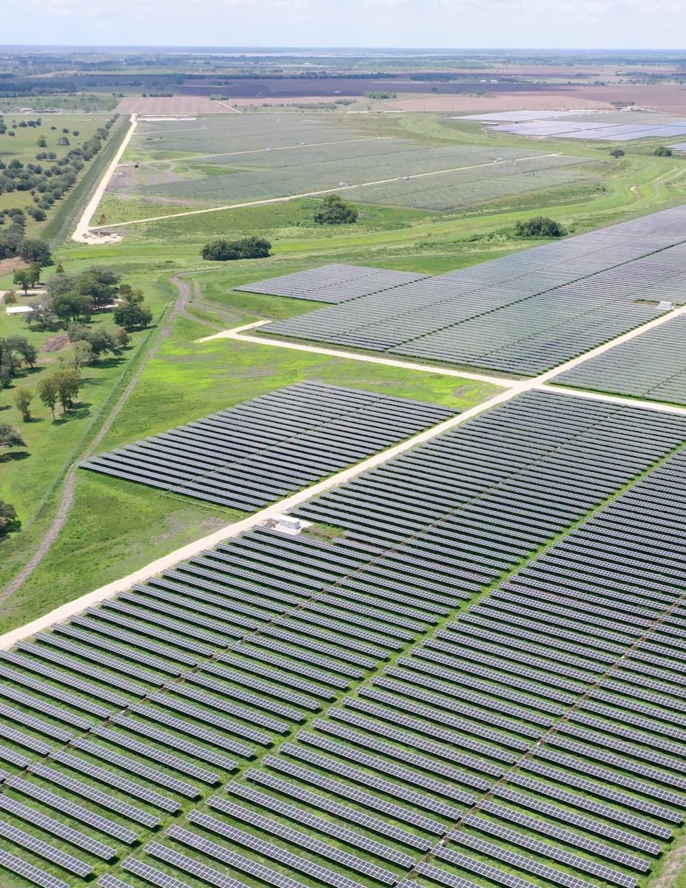 Fields of solar panels for the Cutlass Solar project.