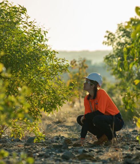 Person wearing a hard hat kneeling down looking at surrounding greenery.