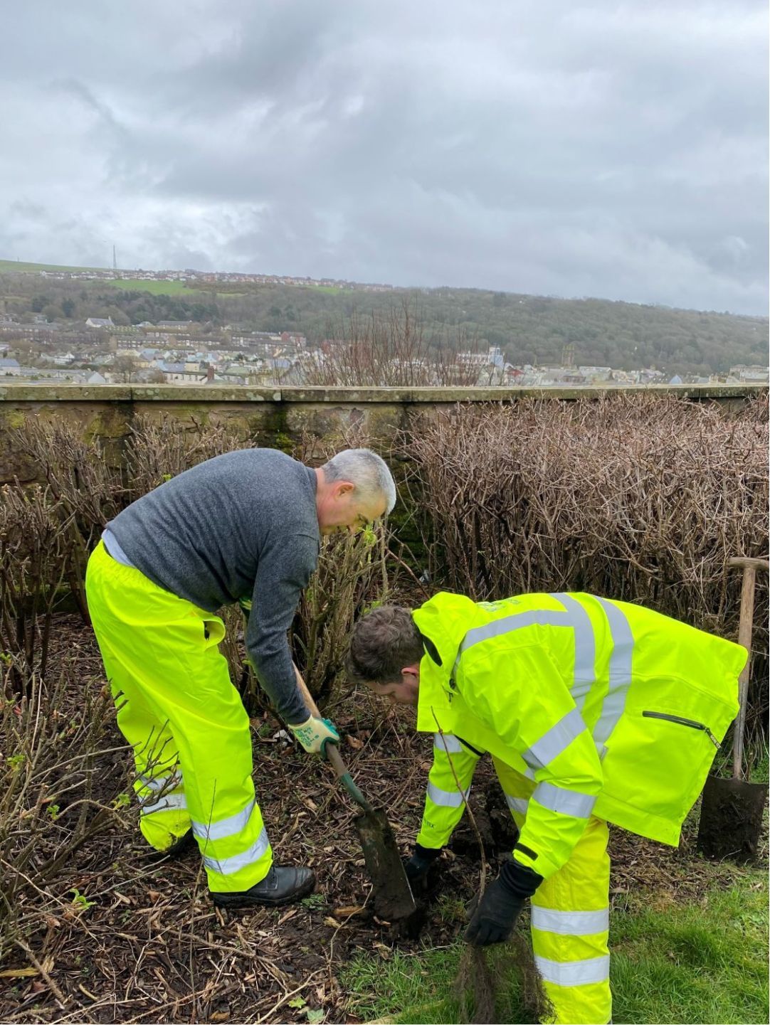 Two people using shovels in a garden.