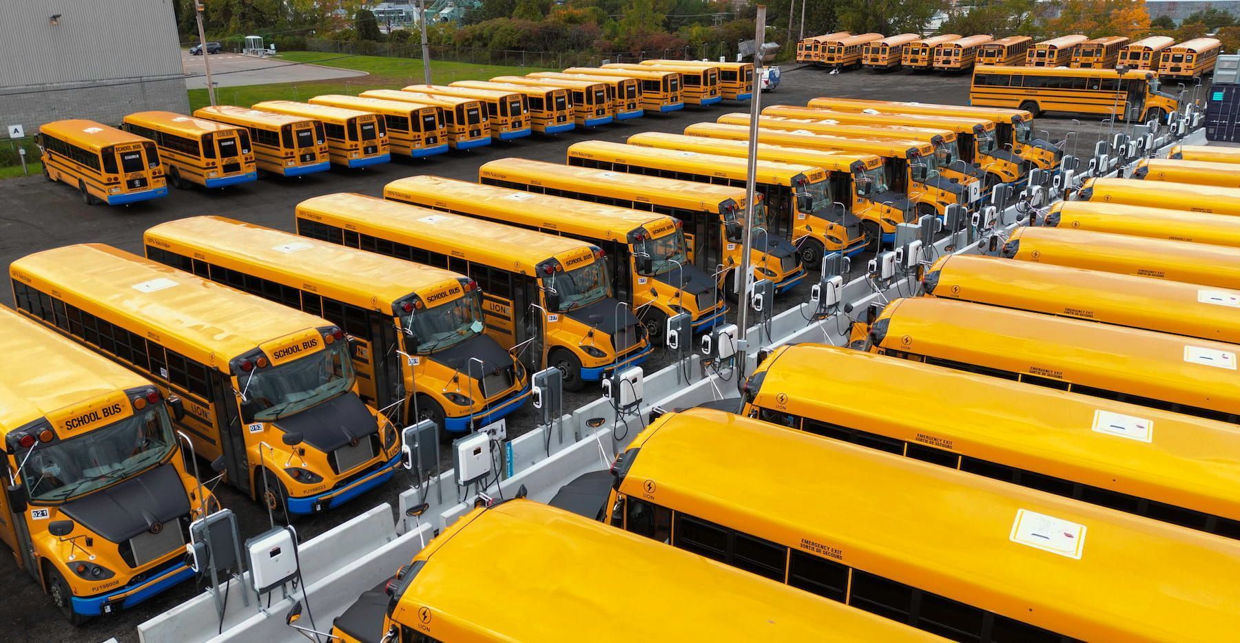 Rows of electric yellow school buses charging.