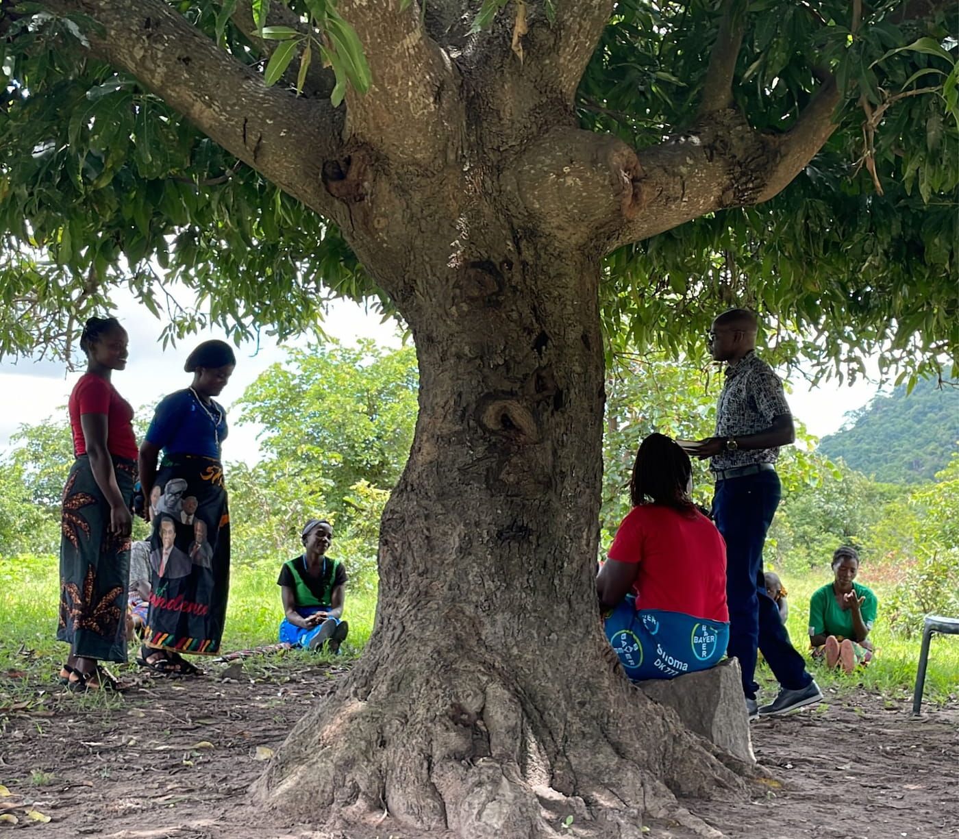 A group of people, including locals, in Zambia having a discussion beneath a tree.
