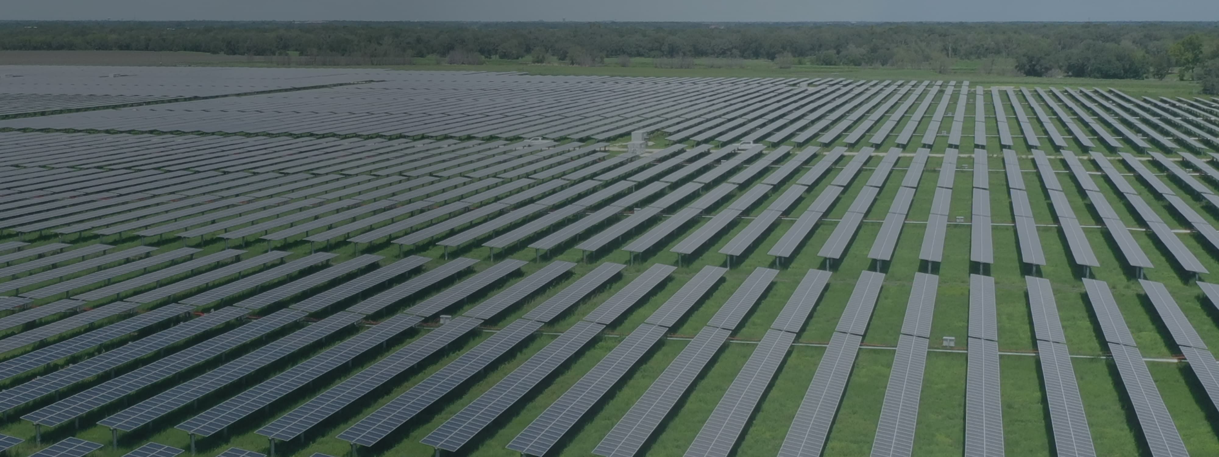 A field full of solar panels.