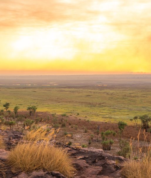 Photo of a sunset over the plains