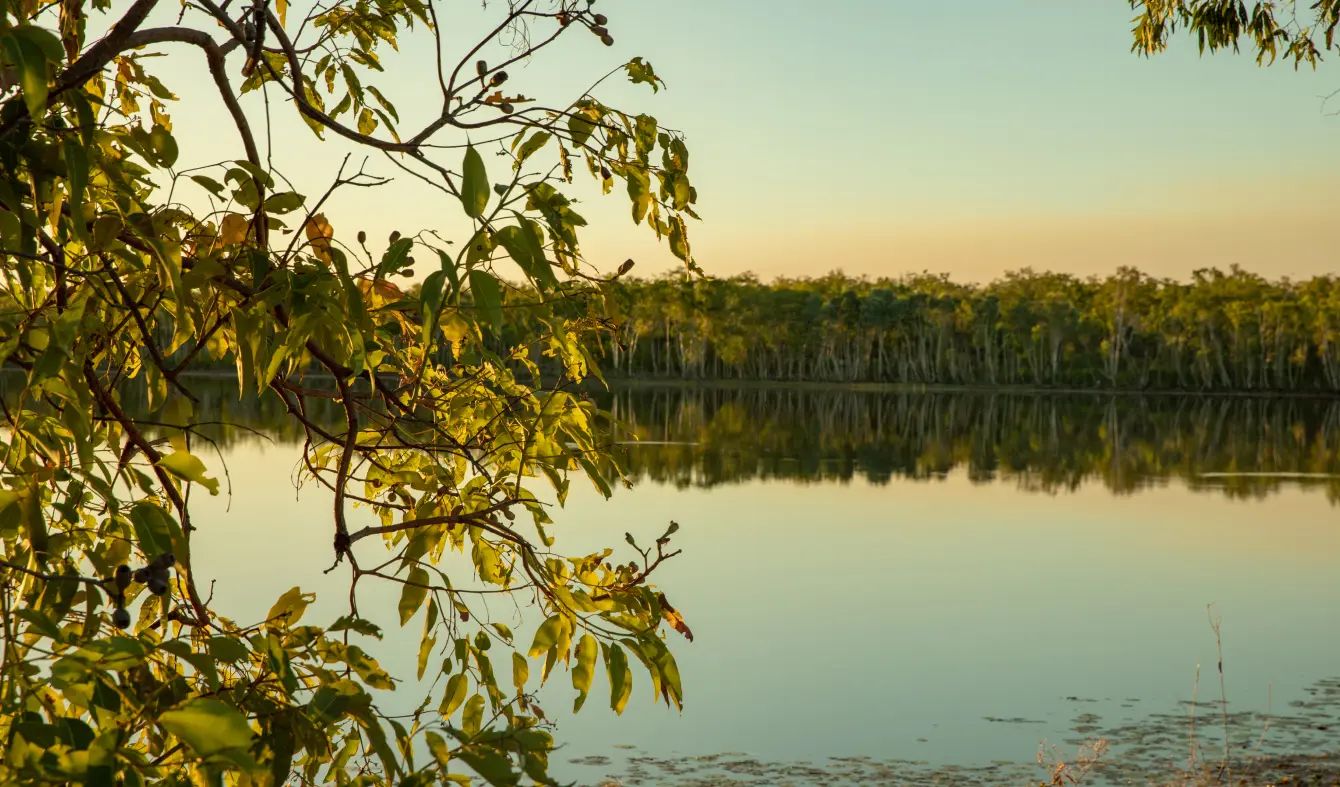 Photo of a clean lake near Ranger Mine