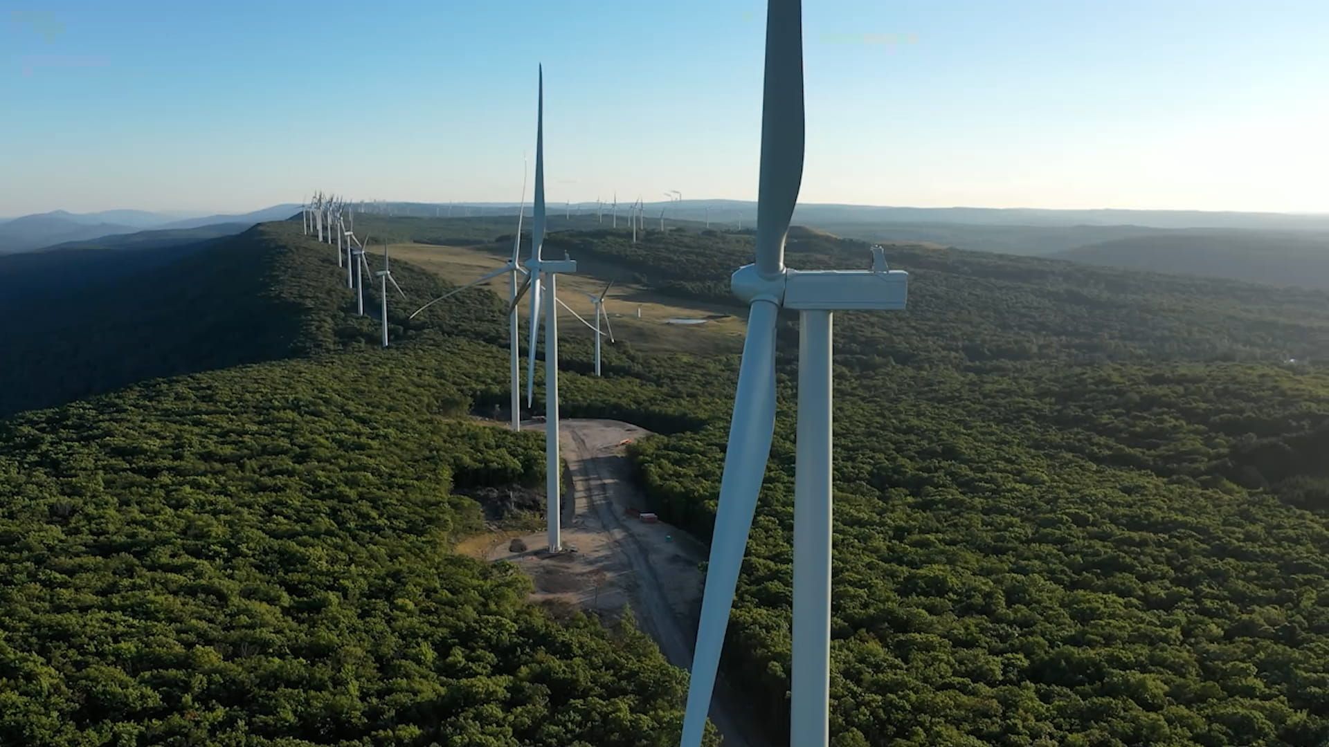 A row of wind turbines.